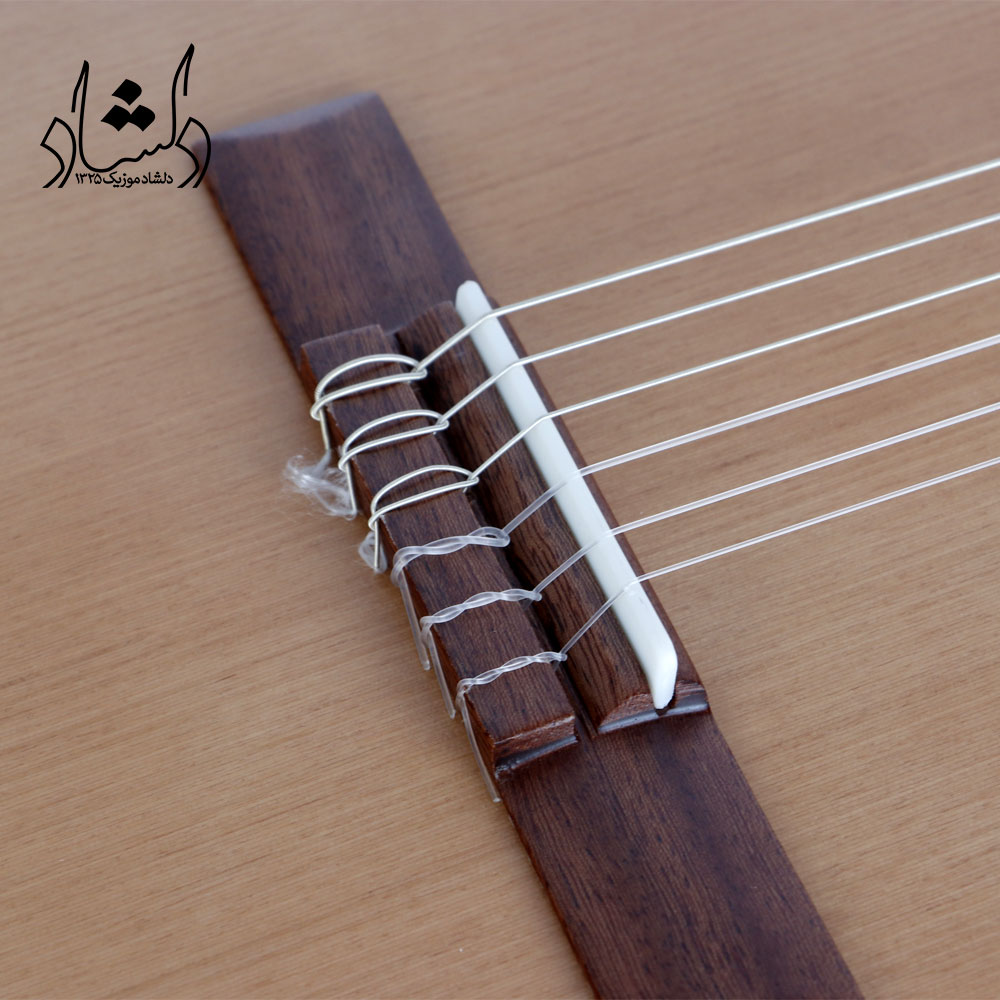 گیتار پارسی مدل P70 - تصویر 8