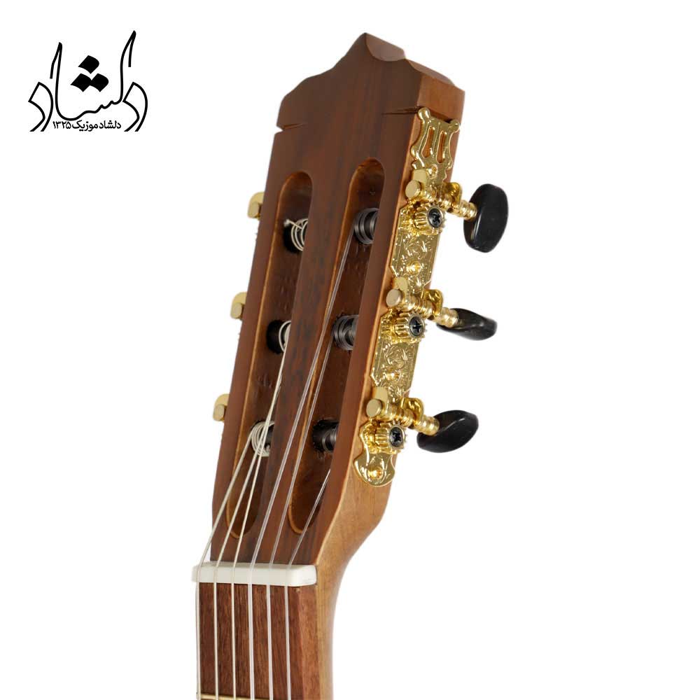 گیتار پارسی مدل P70 - تصویر 5