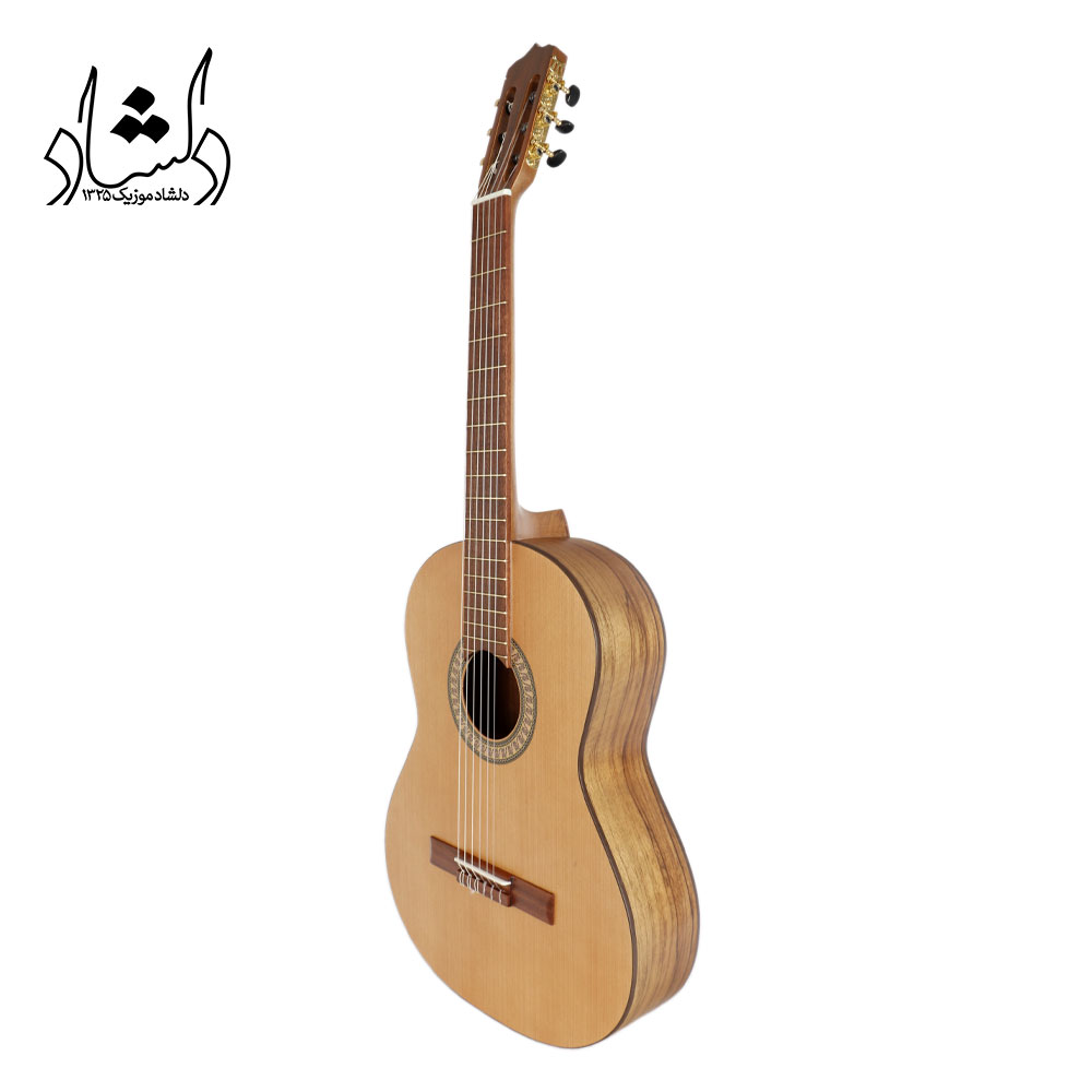 گیتار پارسی مدل P70 - تصویر 6