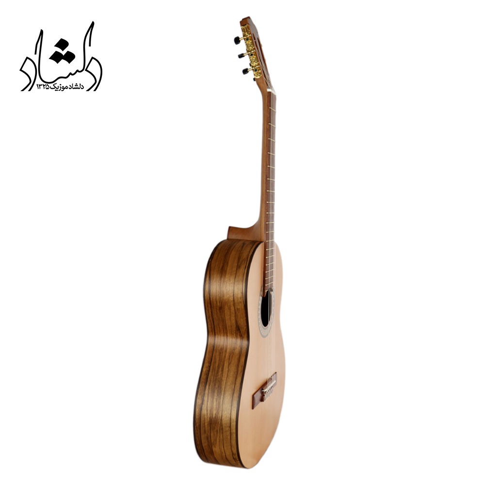 گیتار پارسی مدل P70 - تصویر 10